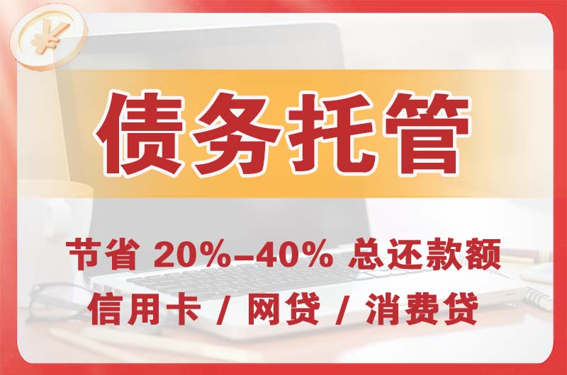 大安债务托管
